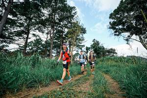 BIB: 
                            <button type="button" onclick="openModal(26036937)" class="btn btn-primary btn-sm float-right btn-popup" data-toggle="modal" data-target=".modal-high-quality">
                        <i class="fas fa-shopping-cart"></i> Add to Cart
                    </button>
                                            <button type="button" onclick="isThisMe(26036937, true)" class="btn btn-success btn-sm float-right btn-popup btn-isme hidden" data-toggle="tooltip" data-placement="bottom" title="นี่คือรูปของคุณใช่ไหม คลิกที่นี่เพื่อเอาเข้าอัลบั้ม">
                        <i class="fas fa-plus"></i> Add to album
                    </button>
                    <button type="button" onclick="isThisMe(26036937, false)" class="btn btn-warning btn-sm float-right btn-popup btn-isnotme hidden">
                        <i class="fas fa-ban"></i> Remove from album
                    </button>